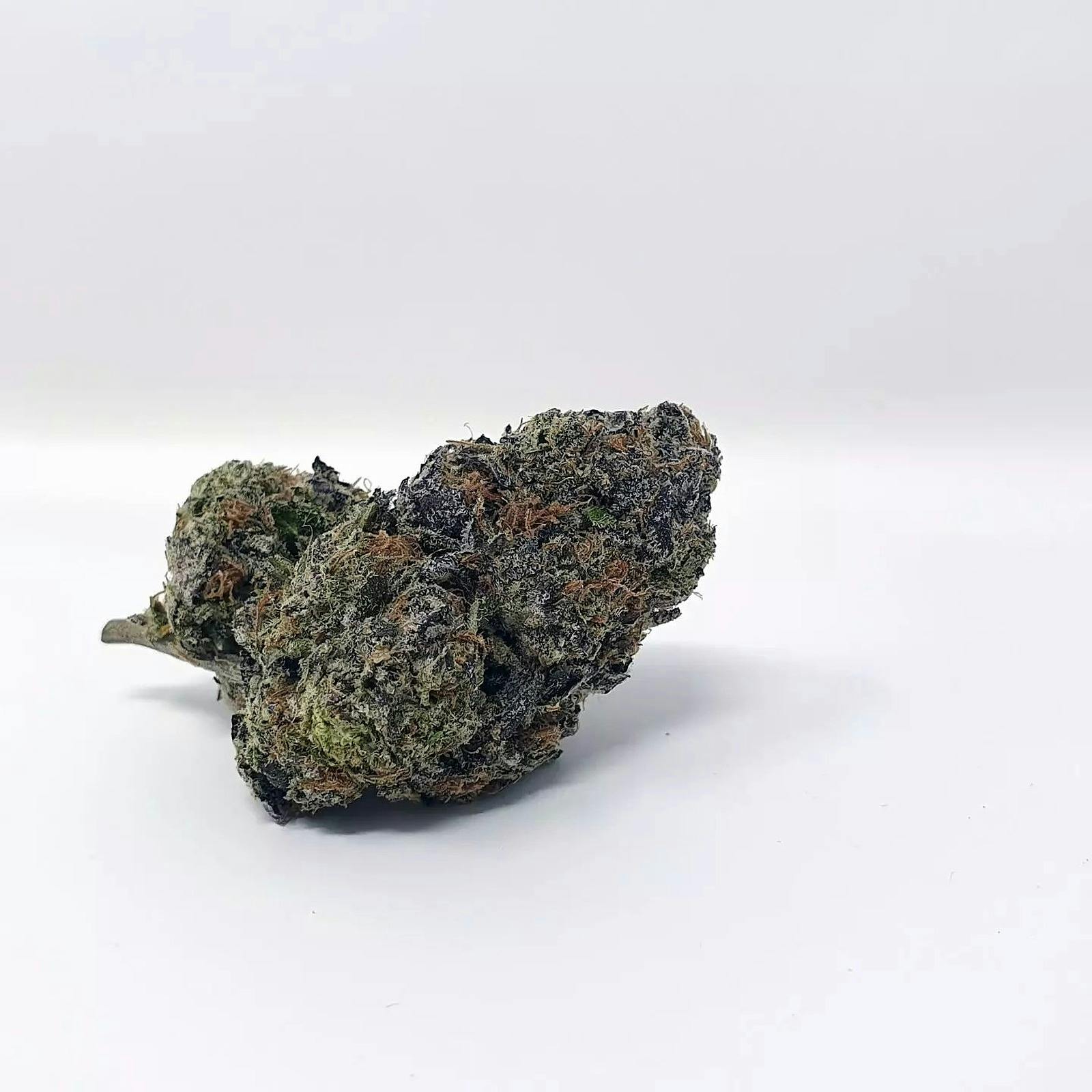 Jar Co Jungle Cookies (3.5g)